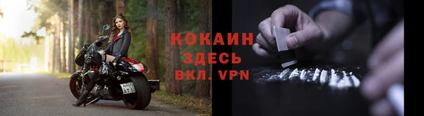 крисы Балахна