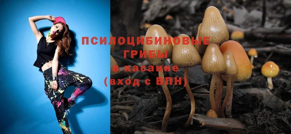 mix Белокуриха